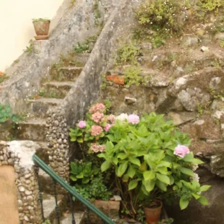 Holiday Home Rua Visconde Faro E Oliveira Tatil Evi *